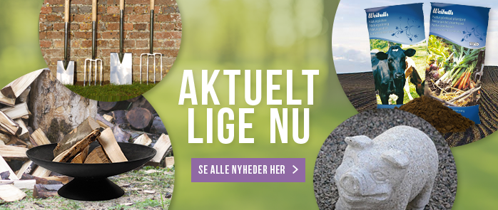 Se alle vores sæsonnyheder